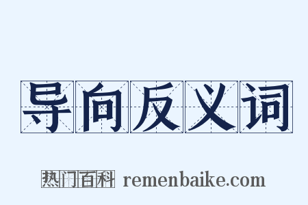 导向反义词是什么意思的图片